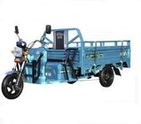 tricycle électrique de cabine de roue de l'adulte 3 du passager 1200w