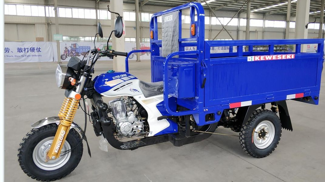 qualité Tricycle électrique de passager usine