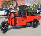 Tricycle électrique de pousse-pousse de passager de cargaison de batterie de bajaj de moto de Jianshe