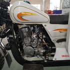 Moto de cargaison de roue de 150cc 3